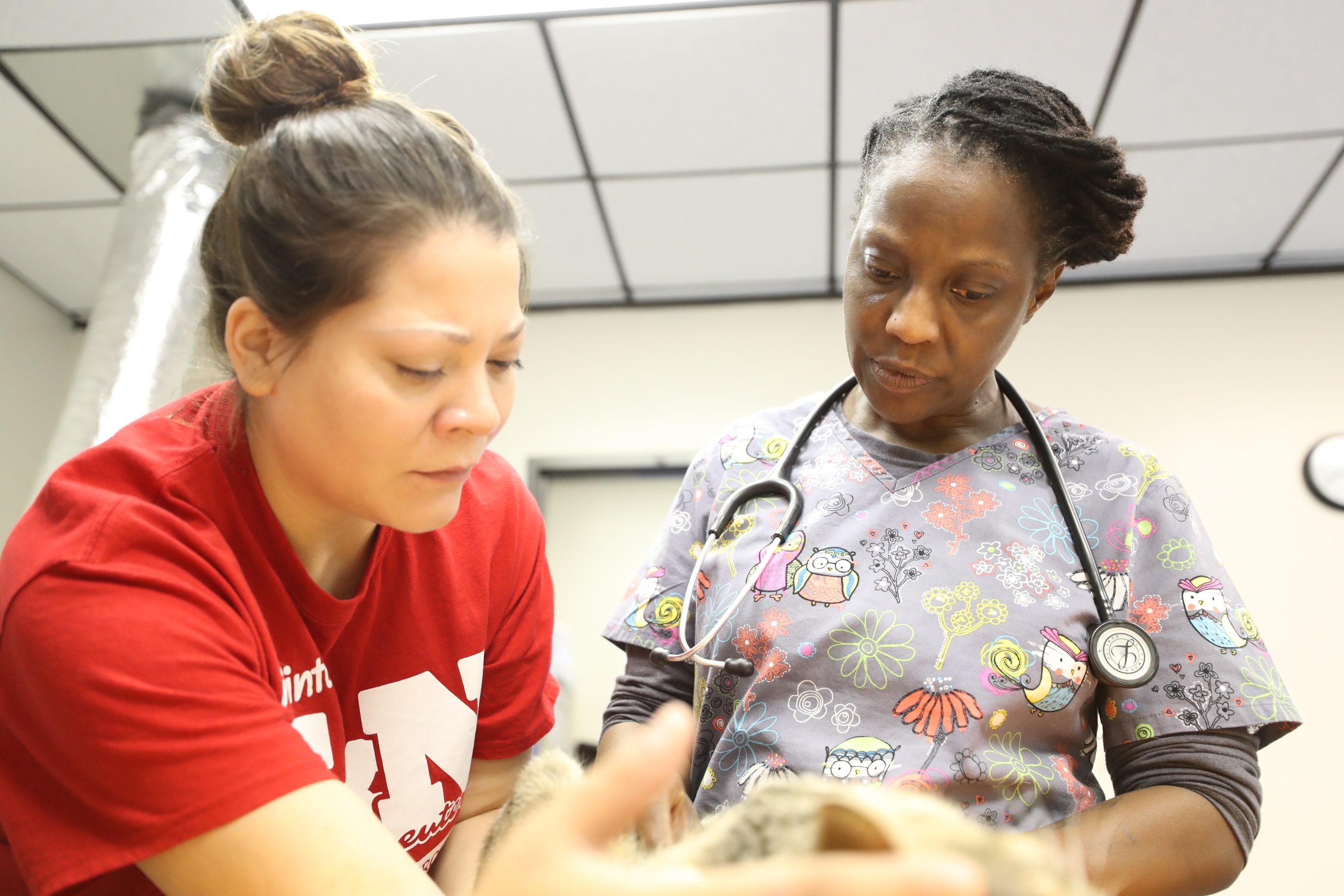 Partner Spotlight Texas Litter Control PetSmart Charities